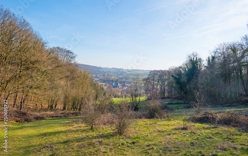 Rural hilly landscape with trees below a blue sky in sunlight in winter