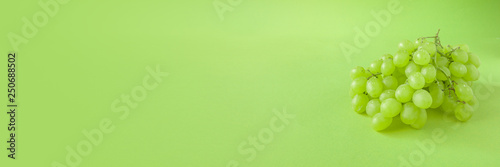 Perfect Fresh Green Grapes Isolated on green Background