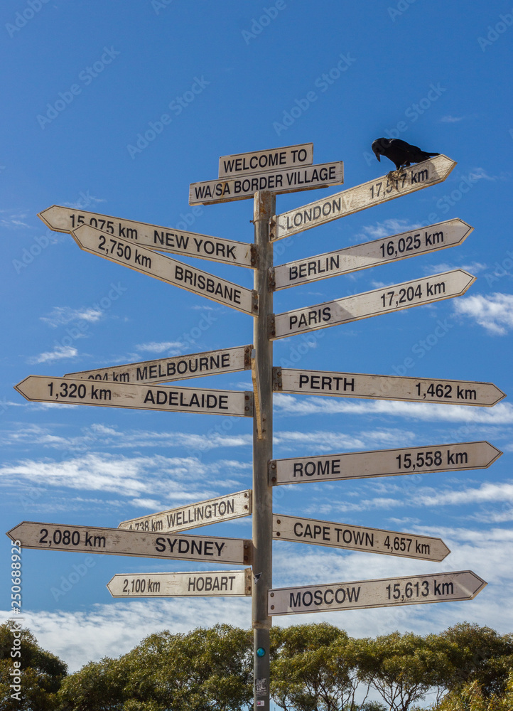 Fototapeta premium Crow sitting on a Milestone sign in the Nullabor dessert, Australia