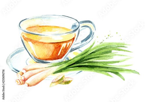 Herbal tea with lemongrass. Watercolor hand drawn illustration  isolated on white background
