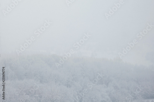 Winter landscape, snowstorm, trees under the snow