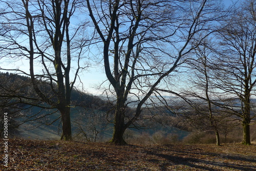 Herbstlandschaft