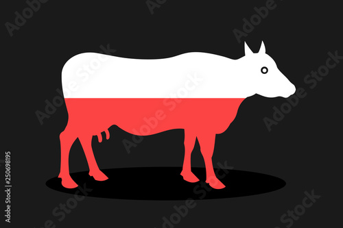 Polish cow from Poland - animal and cattle in red and white colors. Vector illustration