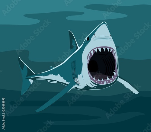 Great White Shark with open mouth
