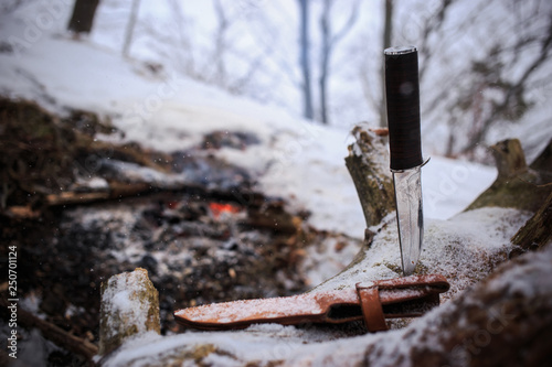 winter survival in the wild with knife