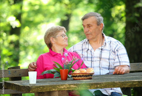 senior couple having a picnic in park