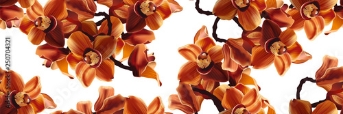 Seamless pattern with orange orchids on a white background. Tropical Orchid Cymbidium flowers. Hand drawn realistic vector illustration with bright orange orchids. 