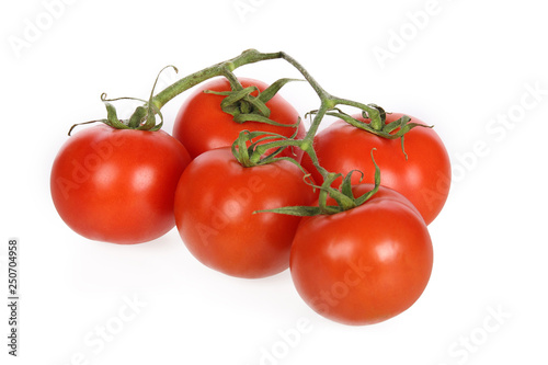 Tomaten isoliert auf weiß