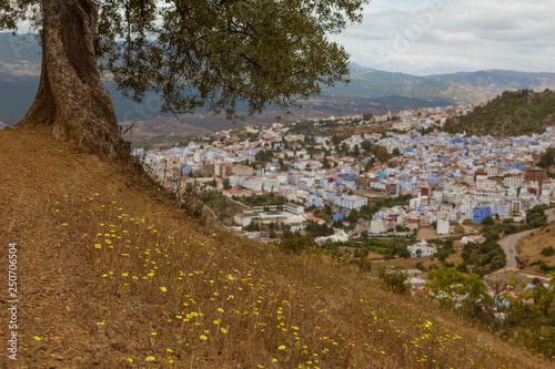 Obraz na płótnie naturaleza marruecos w salonie