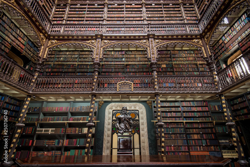 Beautiful Decorated Shelves Full of Antique Books