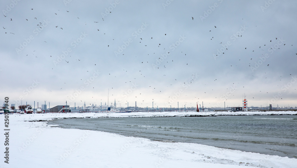 Pirita beach in Tallinn, Estonia in winter season Pirita beach in Tallinn, Estonia in winter season