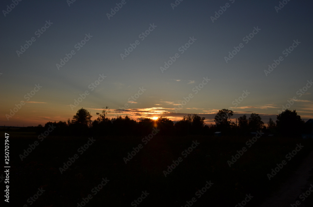 Beautiful summer sunset on the background of tree silhouettes and blue sky with clouds Beautiful summer sunset on the background of tree silhouettes and blue sky with clouds