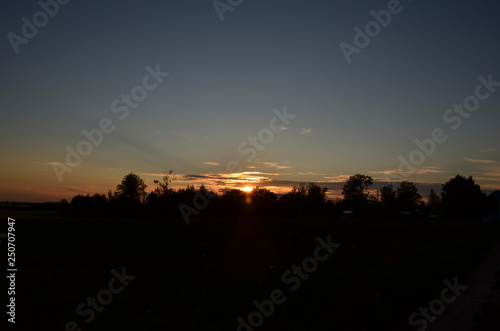 Beautiful summer sunset on the background of tree silhouettes and blue sky with clouds