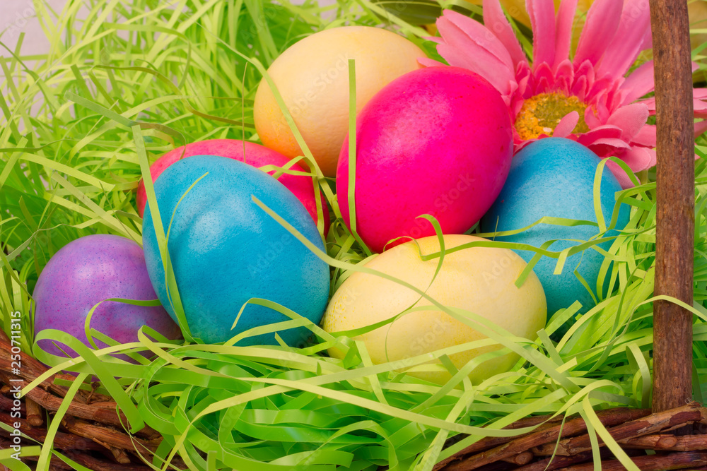 Closeup of Colored Eggs in Easter Basket