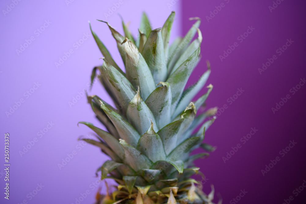Exotic fruit on a colorful background. Fresh and fragrant fruit. Summer. Exotic fruit on a colorful background. Fresh and fragrant fruit. Summer.