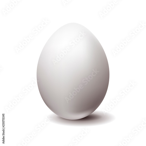 White chicken egg on white background