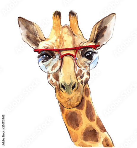 Photography Watercolor portrait of a giraffe