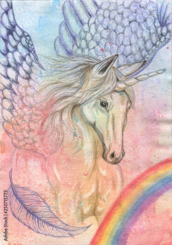 unicorn pegasus horse, feather, rainbow