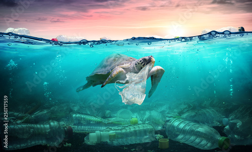Fotografiet Plastic Pollution In Ocean - Turtle Eat Plastic Bag - Environmental Problem