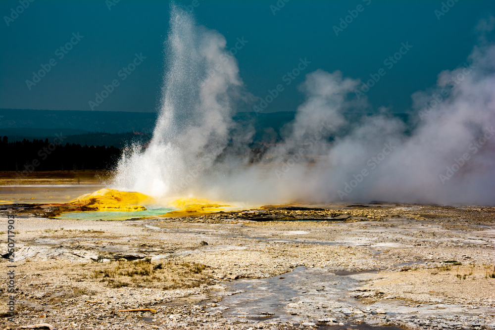 Yellowstone National Park Geyser with Yellow Bacteria, Wyoming