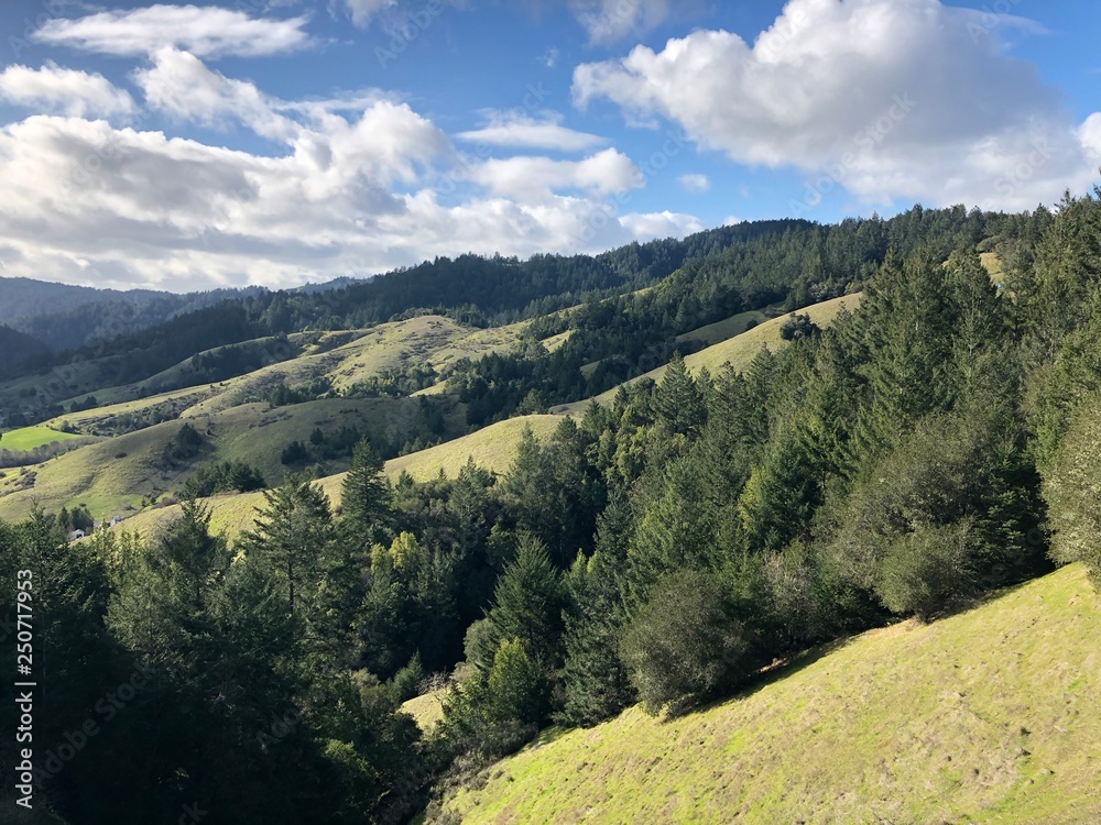 Obraz premium California Rolling Hill Landscape