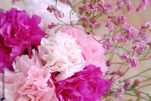 Close up a sweet bouquet of colorful carnation flower blossom with a small pink statice twigs 