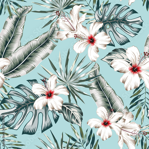 Tropical banana, monstera palm leaves, white hibiscus flowers, light blue background. Vector seamless pattern. Jungle foliage illustration. Exotic plants. Summer beach floral design. Paradise nature