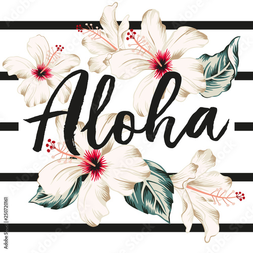 Tropical white hibiscus flowers and leaves on the striped background. Vector print for t shirt with message Aloha. Exotic plants. Summer beach floral design. Paradise nature