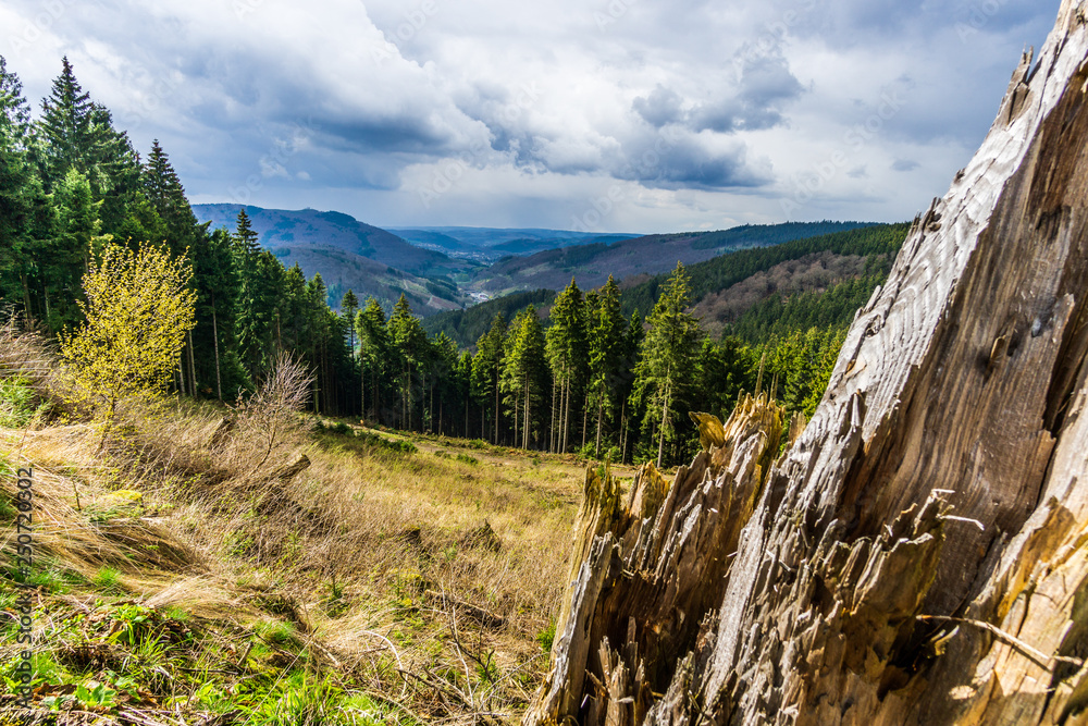 Beautiful mountain landscape There is a old dry tree stump in the foreground