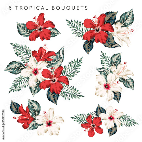 Set of the tropical red, white hibiscus flowers and leaves bouquets, white background. Vector floral illustration. Exotic plants. Summer beach design. Paradise nature