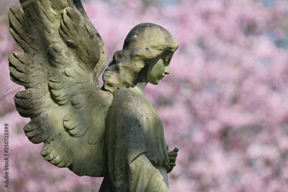 side view of statue of angel at municipal cemetery in Amsterdam, The Netherlands