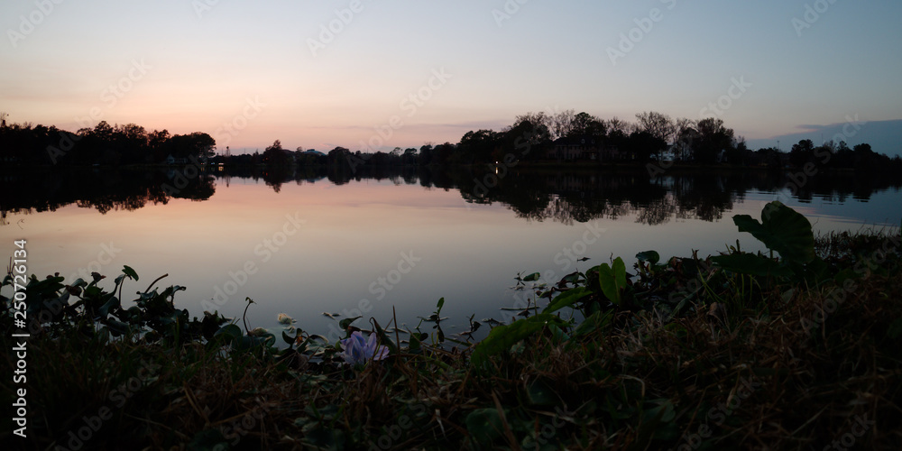 View of LSU lake and water plants at dusk, Baton Rouge, Louisiana, USA