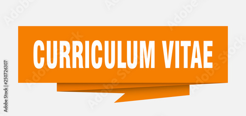 curriculum vitae