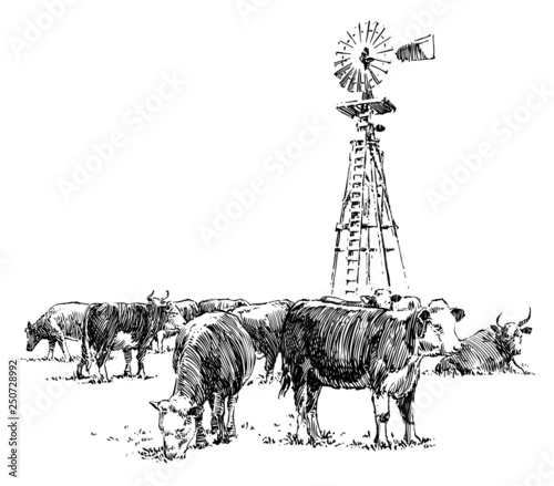 Cows and Windmill