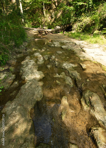 Clark Creek Natural Area, Tunica Hills, Mississippi, USA