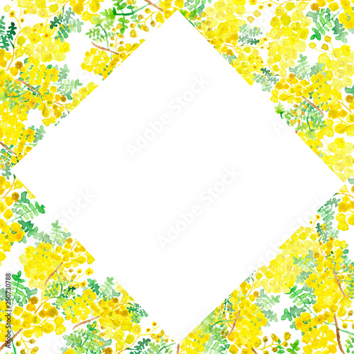 Watercolor frame of flowers and branches of Mimosa on a yellow background. Hand painted, spring flower illustration for beautiful design, with space for text.