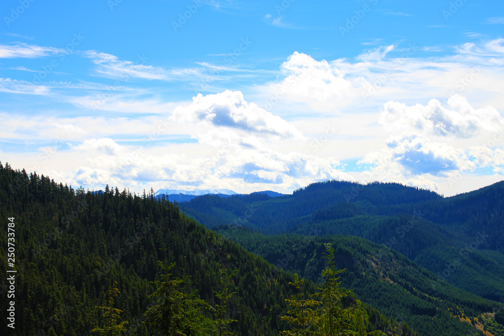 National park Mount Rainier in Norh America beautiful landscape