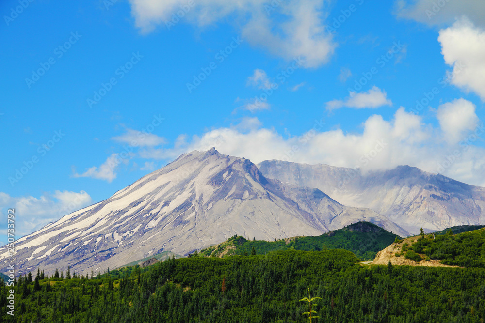 National park Mount Rainier in Norh America beautiful landscape National park Mount Rainier in Norh America beautiful landscape