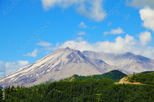 National park Mount Rainier in Norh America beautiful landscape