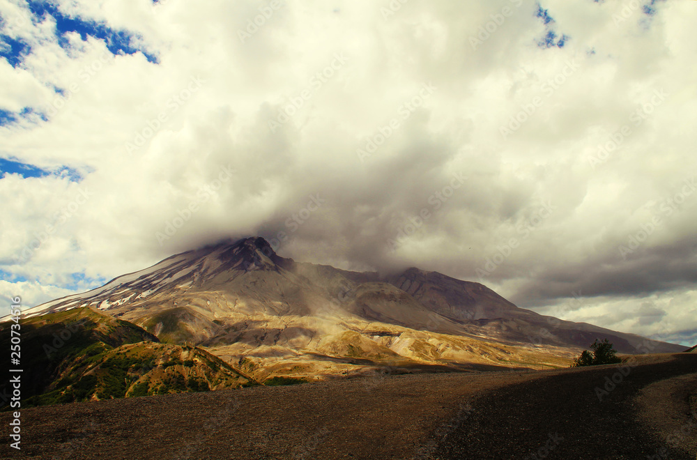 Fototapeta premium National park Mount Rainier in Norh America beautiful landscape