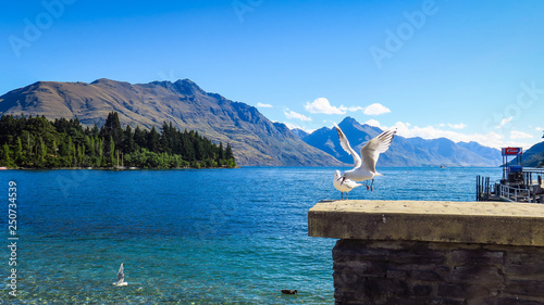 Photography Queenstown and the view from the Gondola, New-Zealand
