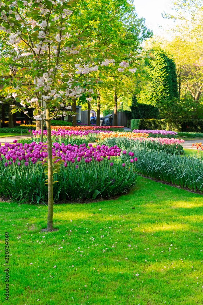 Obraz premium Formal spring garden