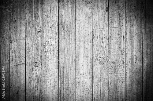 Wooden texture of light grey color