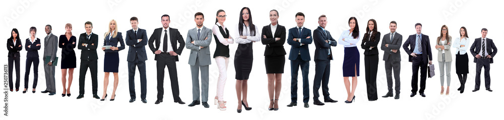 panoramic photo of a professional numerous business team panoramic photo of a professional numerous business team