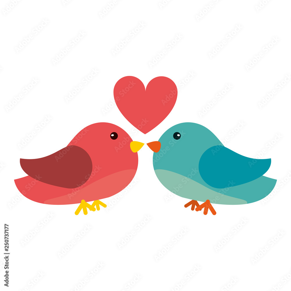 birds couple kiss with heart birds couple kiss with heart