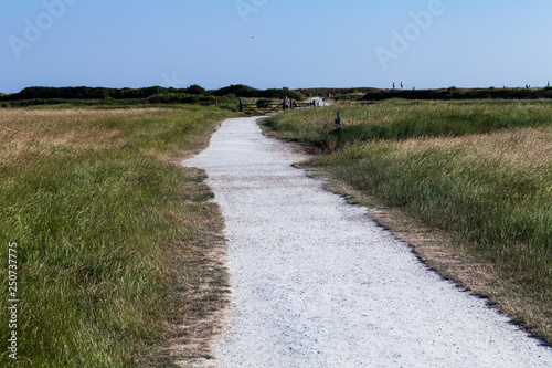 Paved road outdoors in the nature. Traveling concept with road and nature