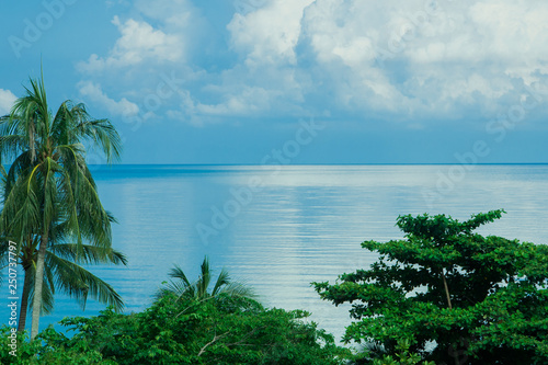 Tropical ocean view with palm tree and trees