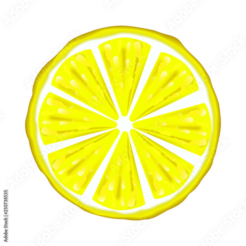 White background, juicy citrus. Yellow Lemon. Vector illustration