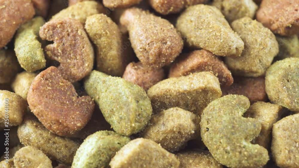 Dry dog and cat food close up Dry dog and cat food close up