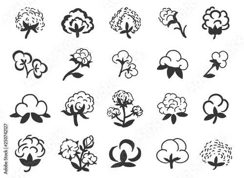 Natural organic cotton, pure cotton vector labels set. Hand drawn, typographic style icons or badges, stickers, signs. Isolated white background